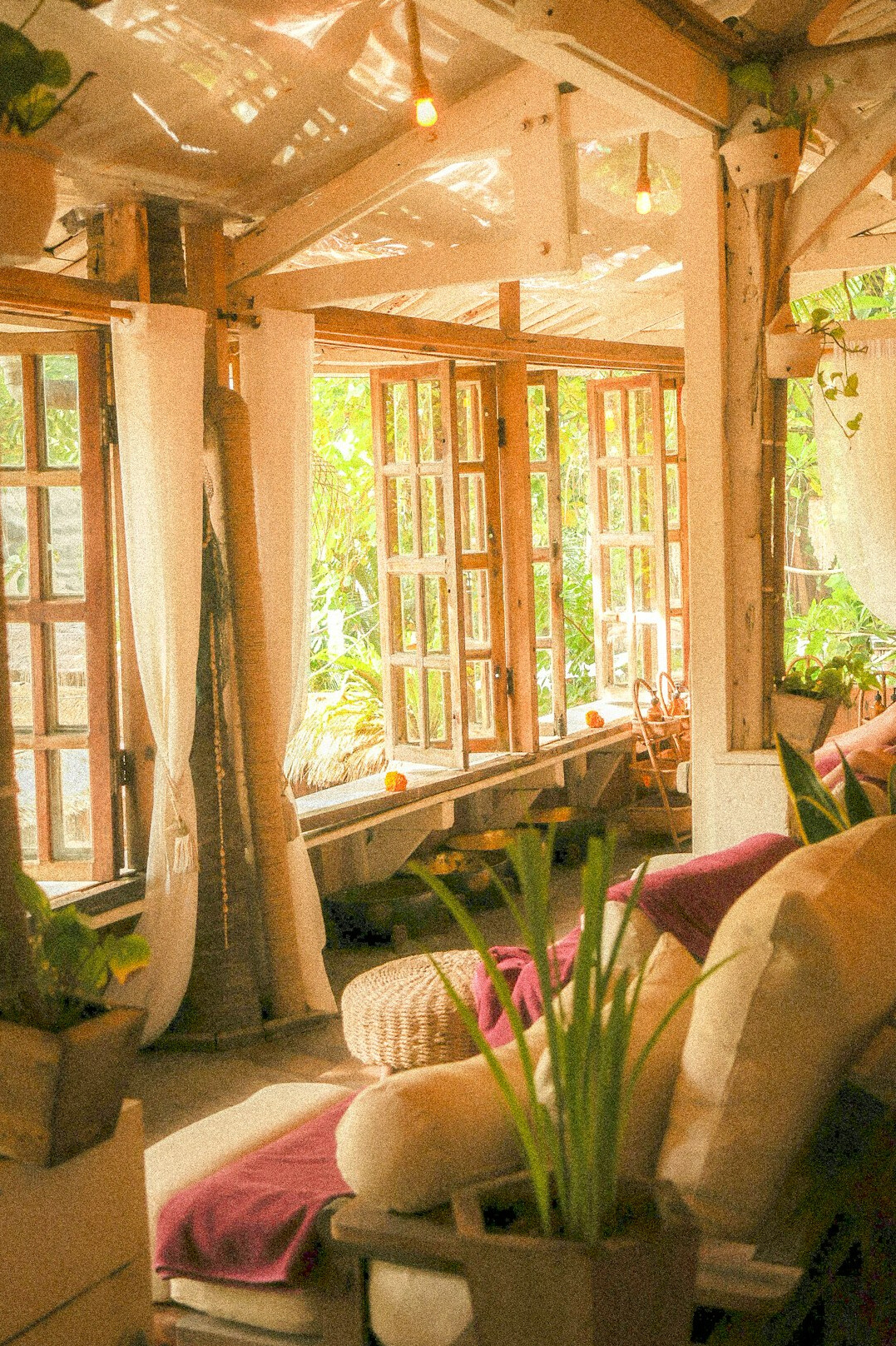 bohemian interior with plants